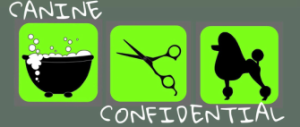 nase-sluzby-icons